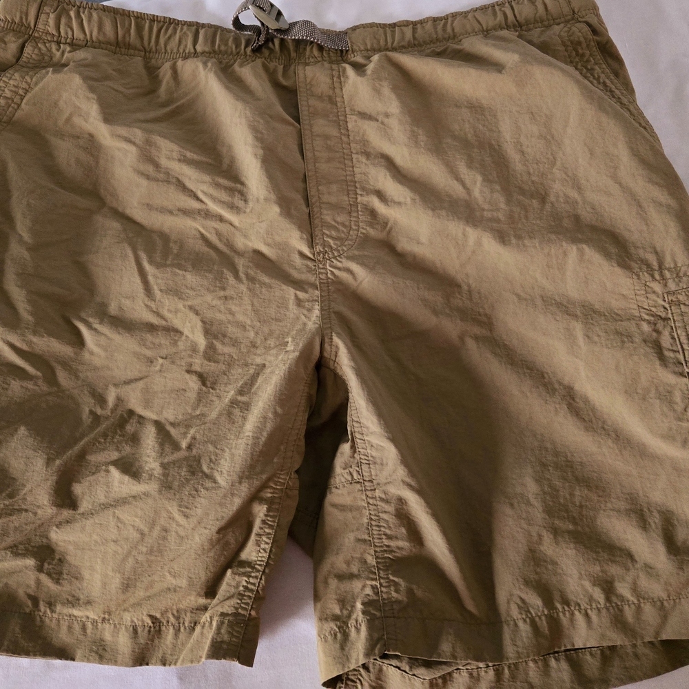 Casual Tan Shorts